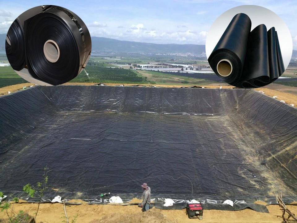 0.75mm LDPE Geomembrane Liner กุ้ง Geomembrane Pond Liner 1