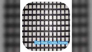 โซลูชันการเสริมแรงถนนไฟเบอร์กลาส Geogrid