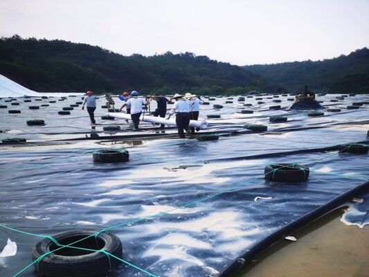 1.5 มม HDPE Geomembrane Liner ด้วยความทนทานทางเคมีเฉพาะสําหรับพัดล้างหิน