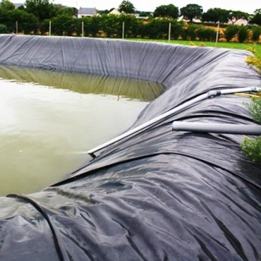 แผ่นซับ Geomembrane HDPE กันน้ำ Root Barrier สำหรับฉนวนสวนหลังคาเชิงพาณิชย์
