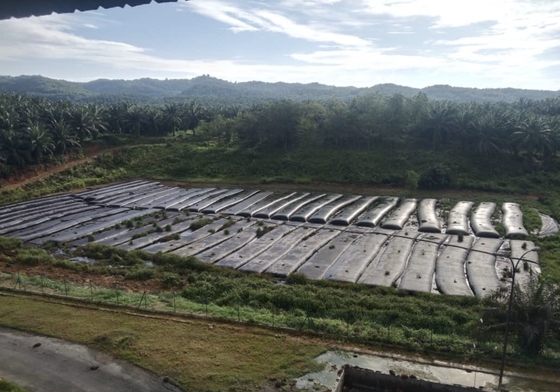 กีโอเท็กสติล ท่อ dewatering ใช้เพื่อช่วยแปลงน้ํามันปาล์มมิลลินี