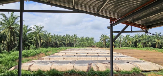 กีโอเท็กสติล ท่อ dewatering ใช้เพื่อช่วยแปลงน้ํามันปาล์มมิลลินี
