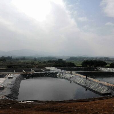 ผนังผนังพื้นดิน HDPE ทนทาน ผนังบ่อสระฟาร์มการเกษตร ผนังบ่อสระฟาร์มการเกษตรเพื่อการพัฒนาปลาปลาที่ปลอดภัย