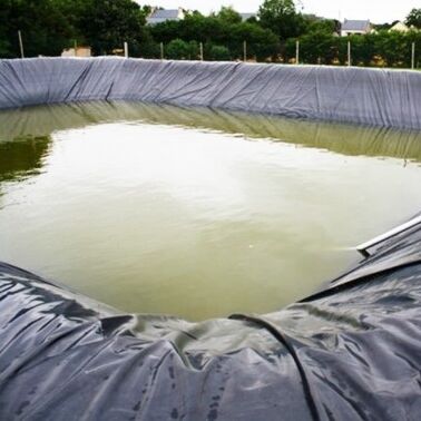 ผนังผนังพื้นดิน HDPE ทนทาน ผนังบ่อสระฟาร์มการเกษตร ผนังบ่อสระฟาร์มการเกษตรเพื่อการพัฒนาปลาปลาที่ปลอดภัย