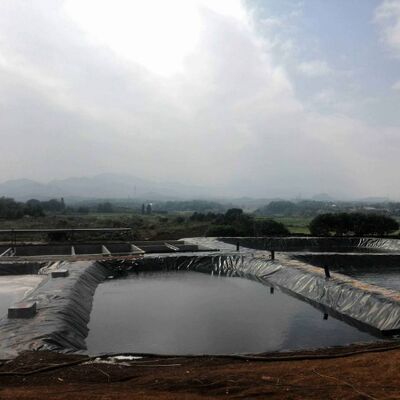 ผนังผนัง HDPE ที่ปลอดภัยสําหรับปลา สําหรับบ่อประปาทางการเกษตรในสระ