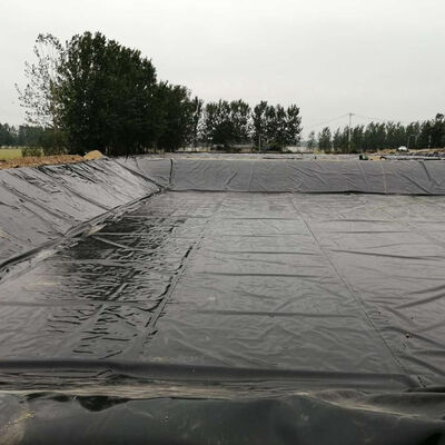 ซับ Geomembrane HDPE แบบแน่นแก๊สสำหรับฝาปิดบ่อหมักก๊าซชีวภาพทางการเกษตร