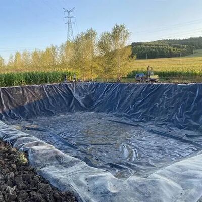 ซับ Geomembrane HDPE การขุดที่ยากลำบากสำหรับเขื่อนหางแร่และลุ่มน้ำเสีย