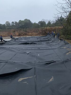 Woven Geotextile Tube Container For Swampland Reclamation Project