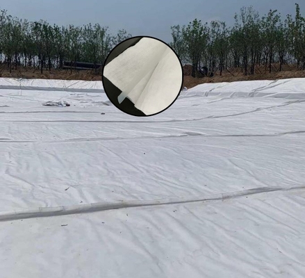 การแยกการก่อสร้างอุโมงค์จราจร Geomembrane คอมโพสิตผ้าไม่ทอ