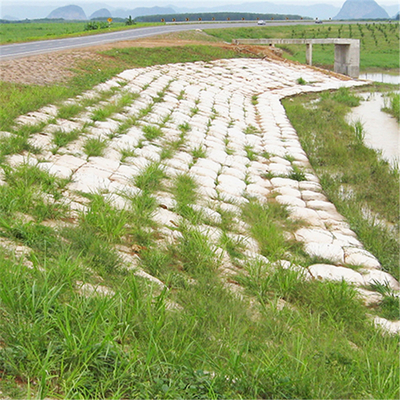 การอนุรักษ์น้ำ Geotextile Geobag ผ้าโพรพิลีนเชิงนิเวศวิทยา