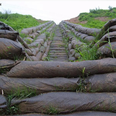 โครงการด้านสิ่งแวดล้อม Geobag Geotextile นอนวูฟเวนพร้อมเมล็ดพืช