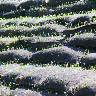 โครงการด้านสิ่งแวดล้อม Geobag Geotextile นอนวูฟเวนพร้อมเมล็ดพืช