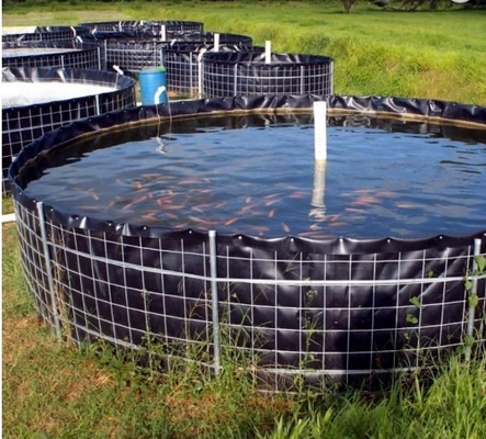 พื้นผิวเรียบ PVC Geomembrane Liner หนา 0.2 ~ 3 มม. สำหรับให้อาหารกุ้งกุลาดำ
